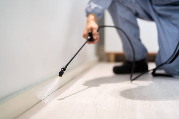 Bed Bug Pre-Treatment Preparation Assessment in Chesterfield